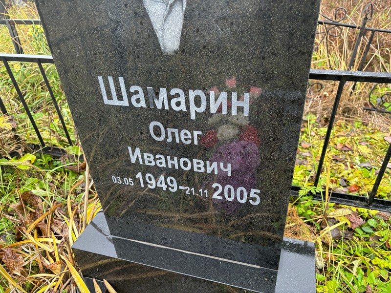 Шамарин