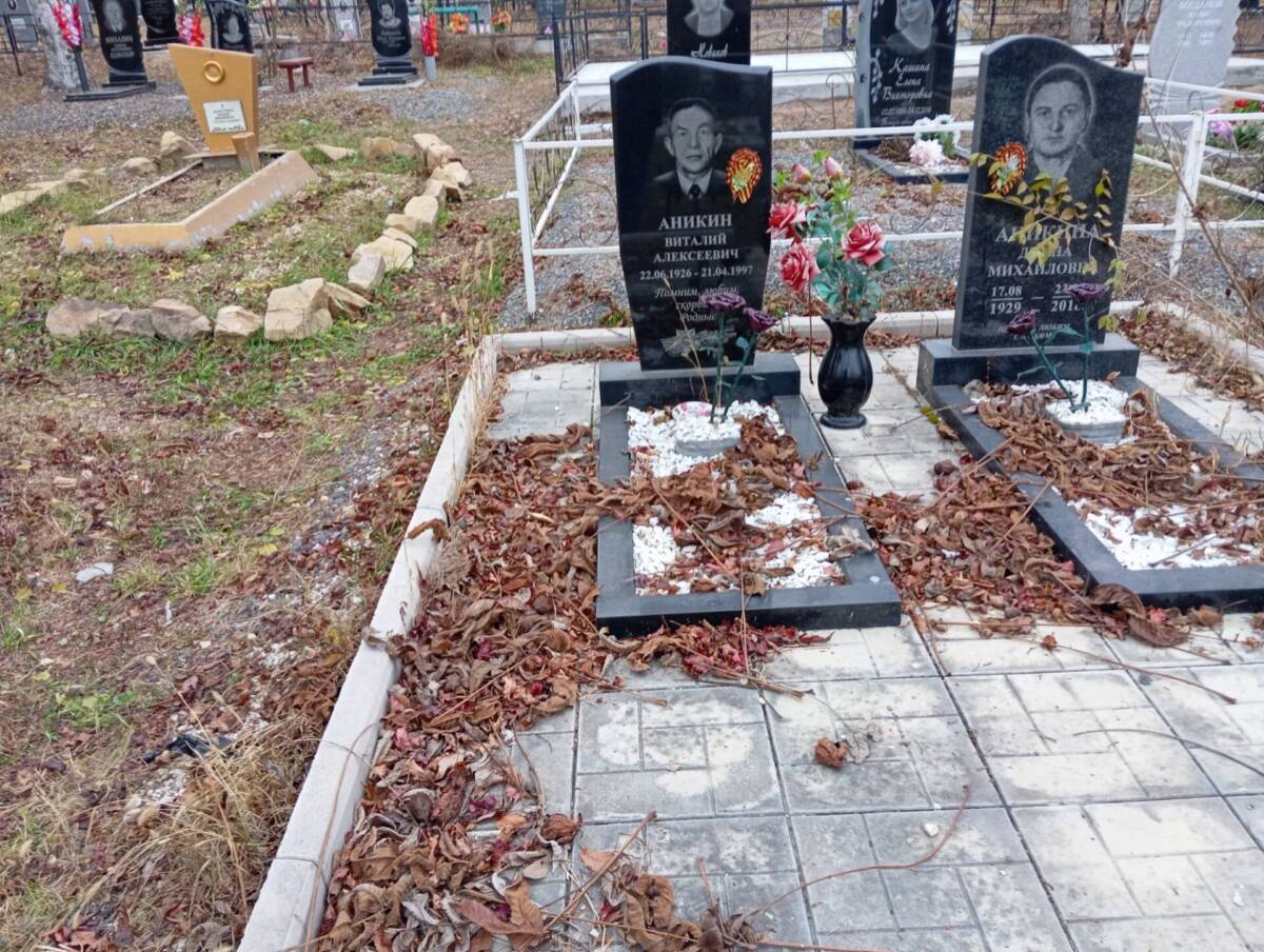 Аникин Виталий Алексеевич