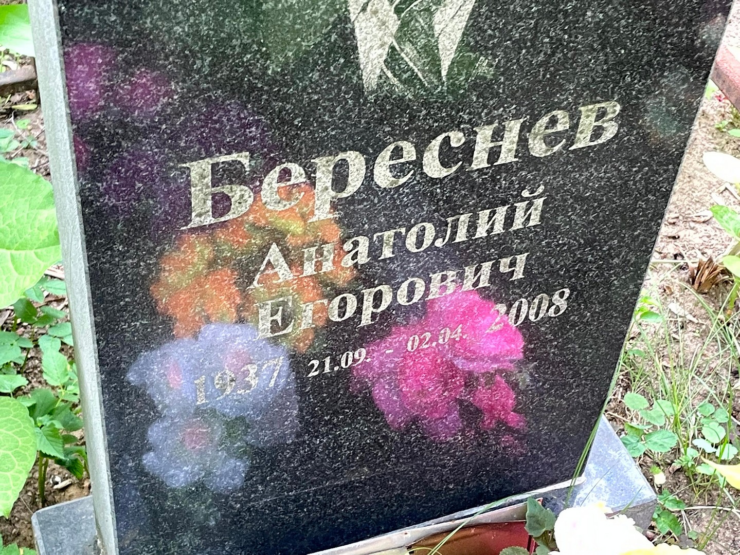 Береснев