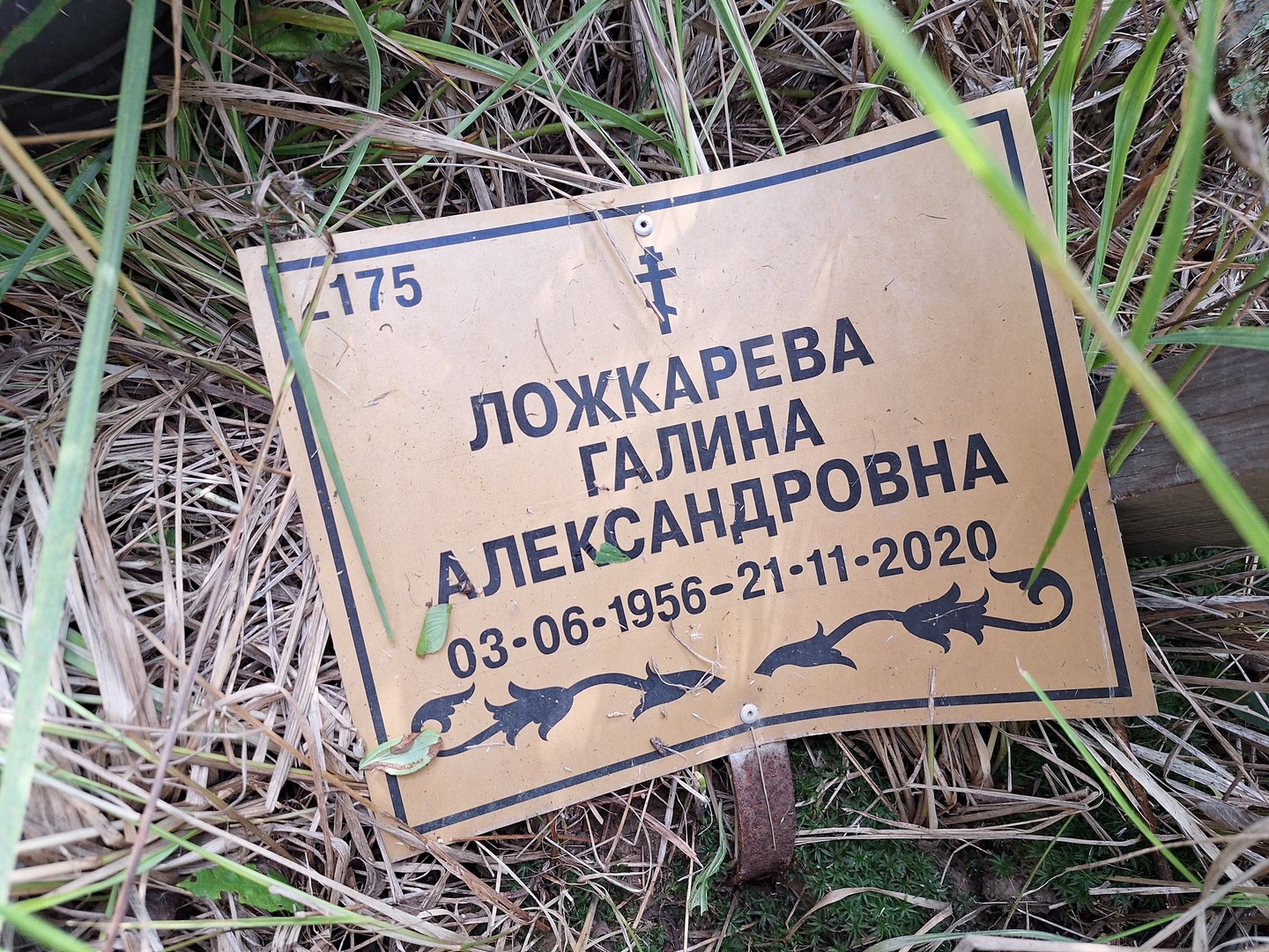 Ложкарева