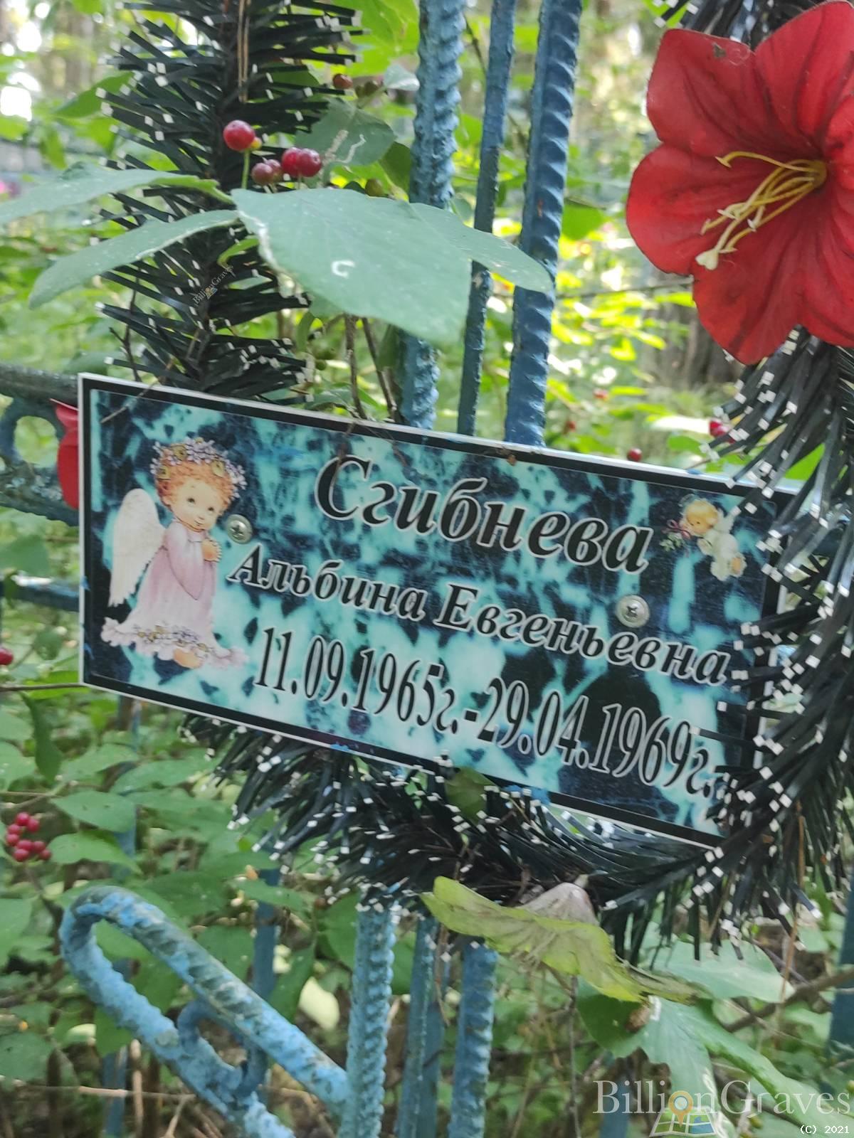Сгибнева Альбина Евгеньевна
