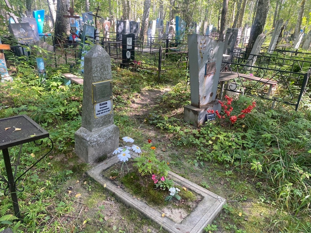 Осипов Владимир Константинович