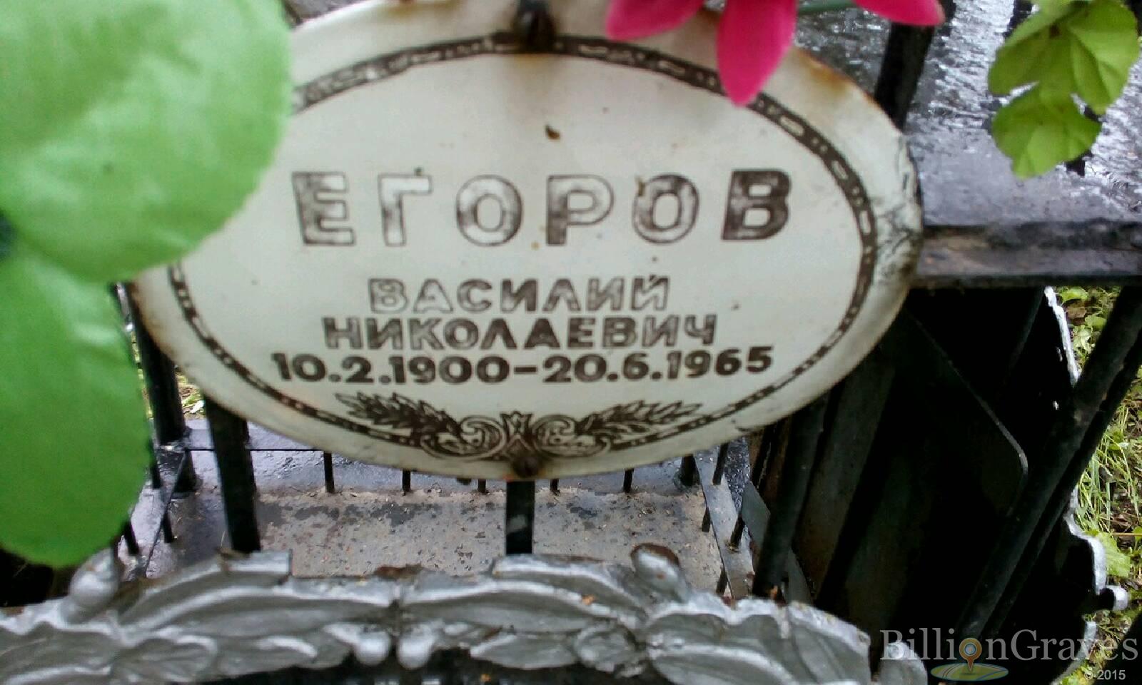 Егорова Елизавета Михайловна