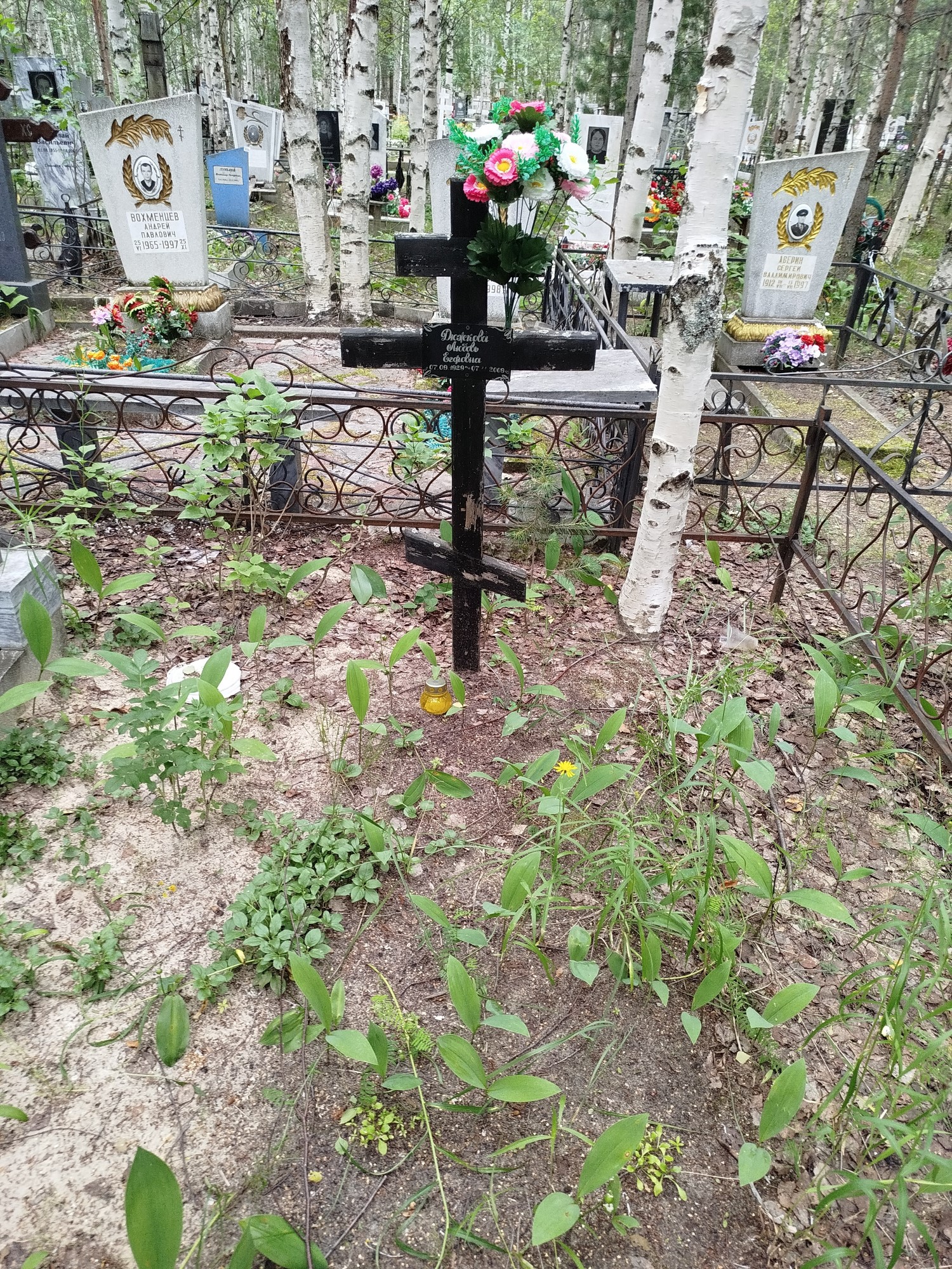 Дюжкова Любовь Егфовна