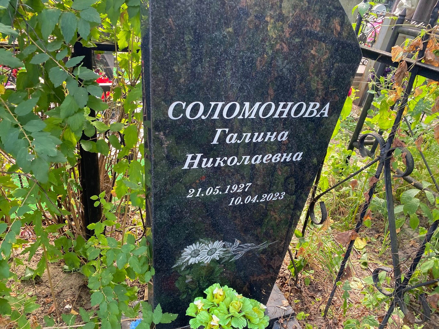 Соломонова