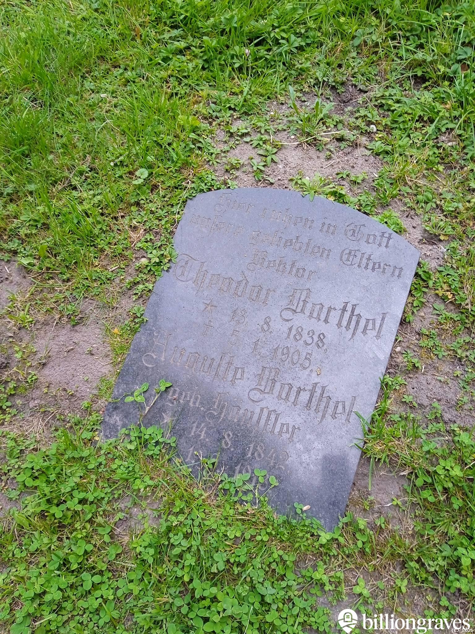 Barthel Augulte