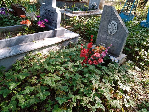 Долгорукова Анна Михайловна