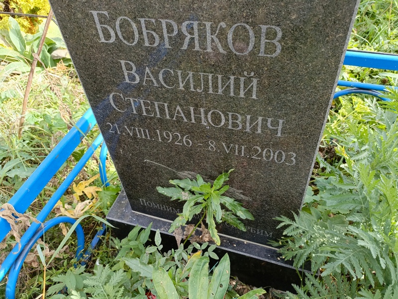 Бобряков