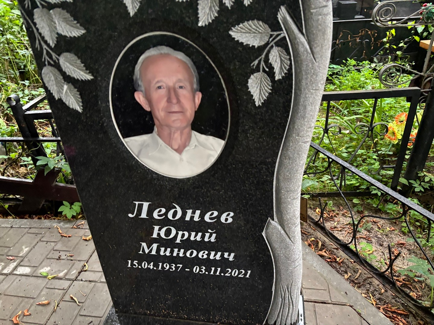 Леднев