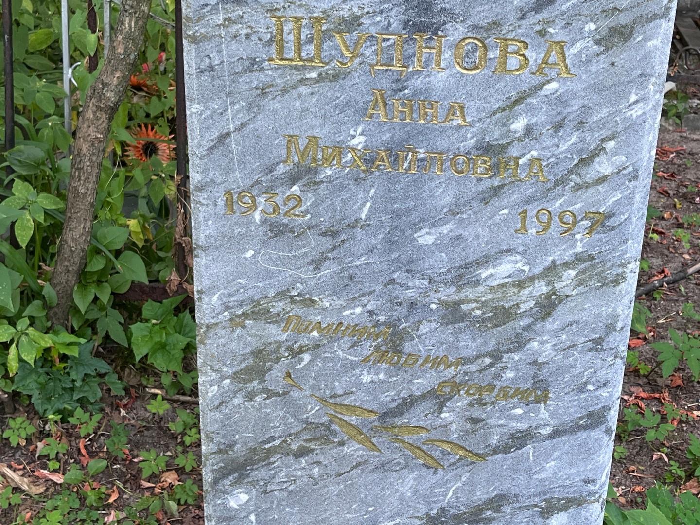 Шуднова