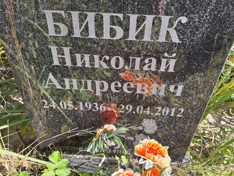Бибик