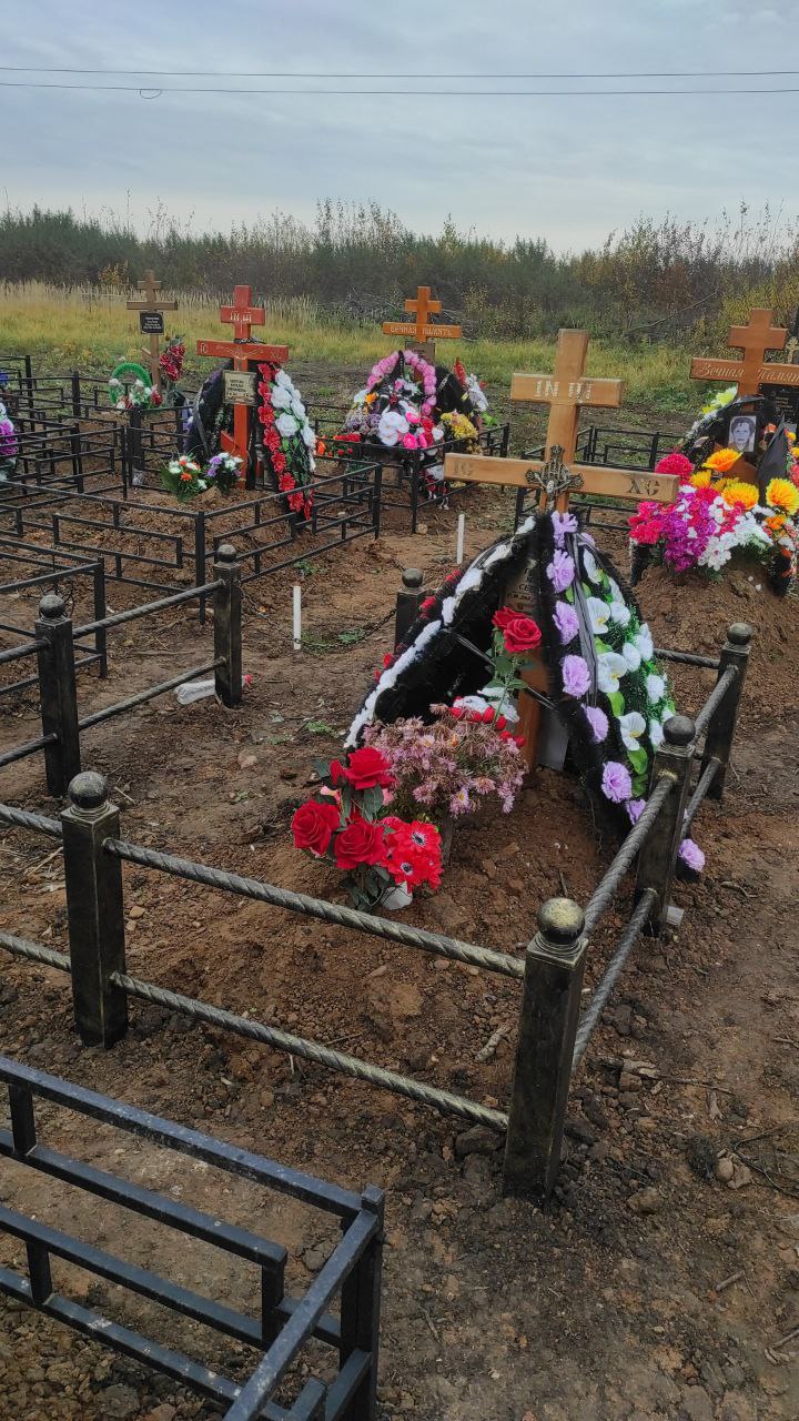 Грудина