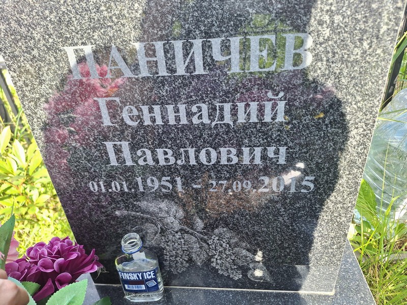 Паничев