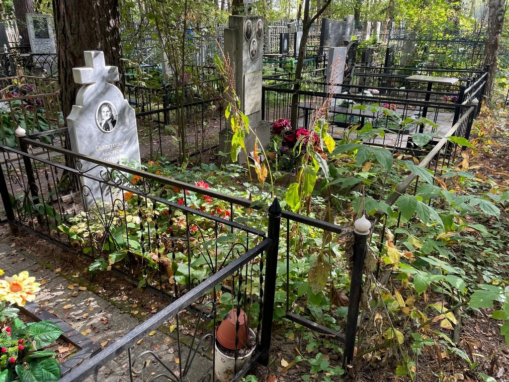 Солдатенкова Анастасия Петровна