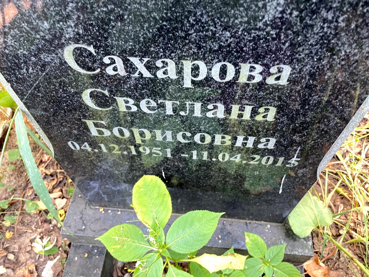 Сахарова
