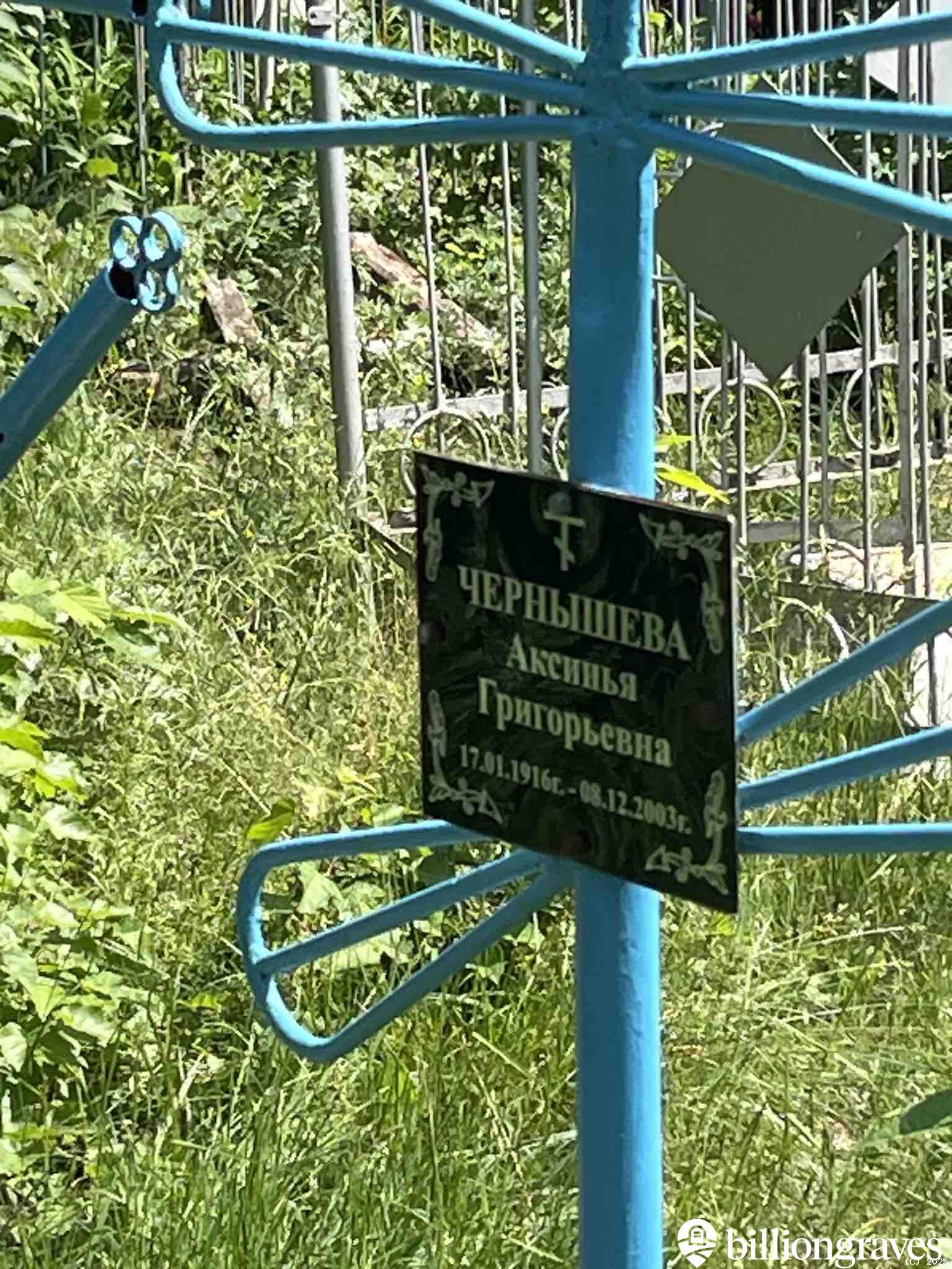 Чернышева Аксинья Григорьевна