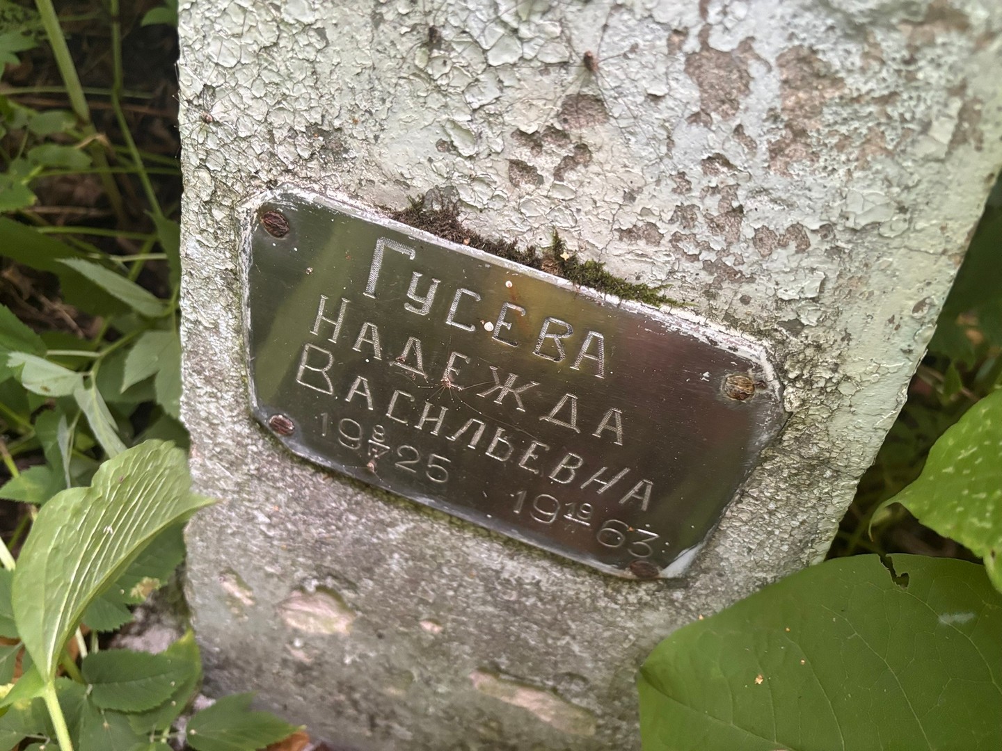 Гусева