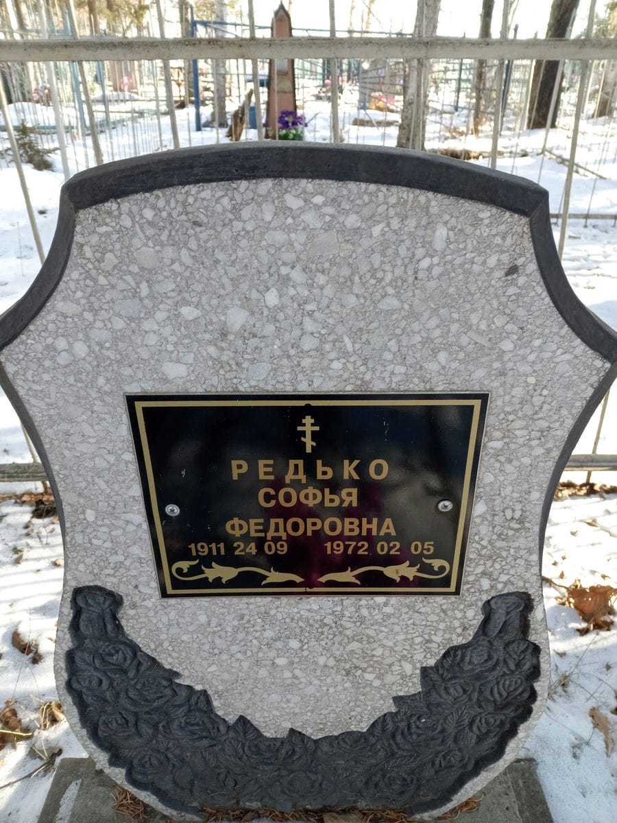 Редько Софья Федоровна
