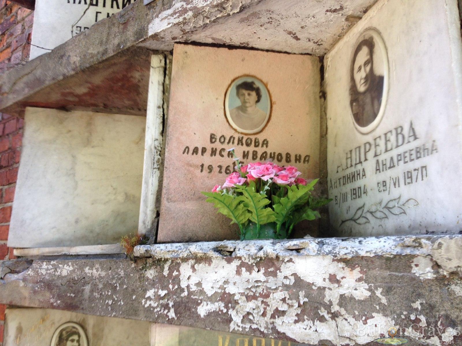 Волкова Лариса Ивановна