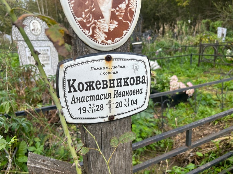 Кожевникова Анастасия Ивановна