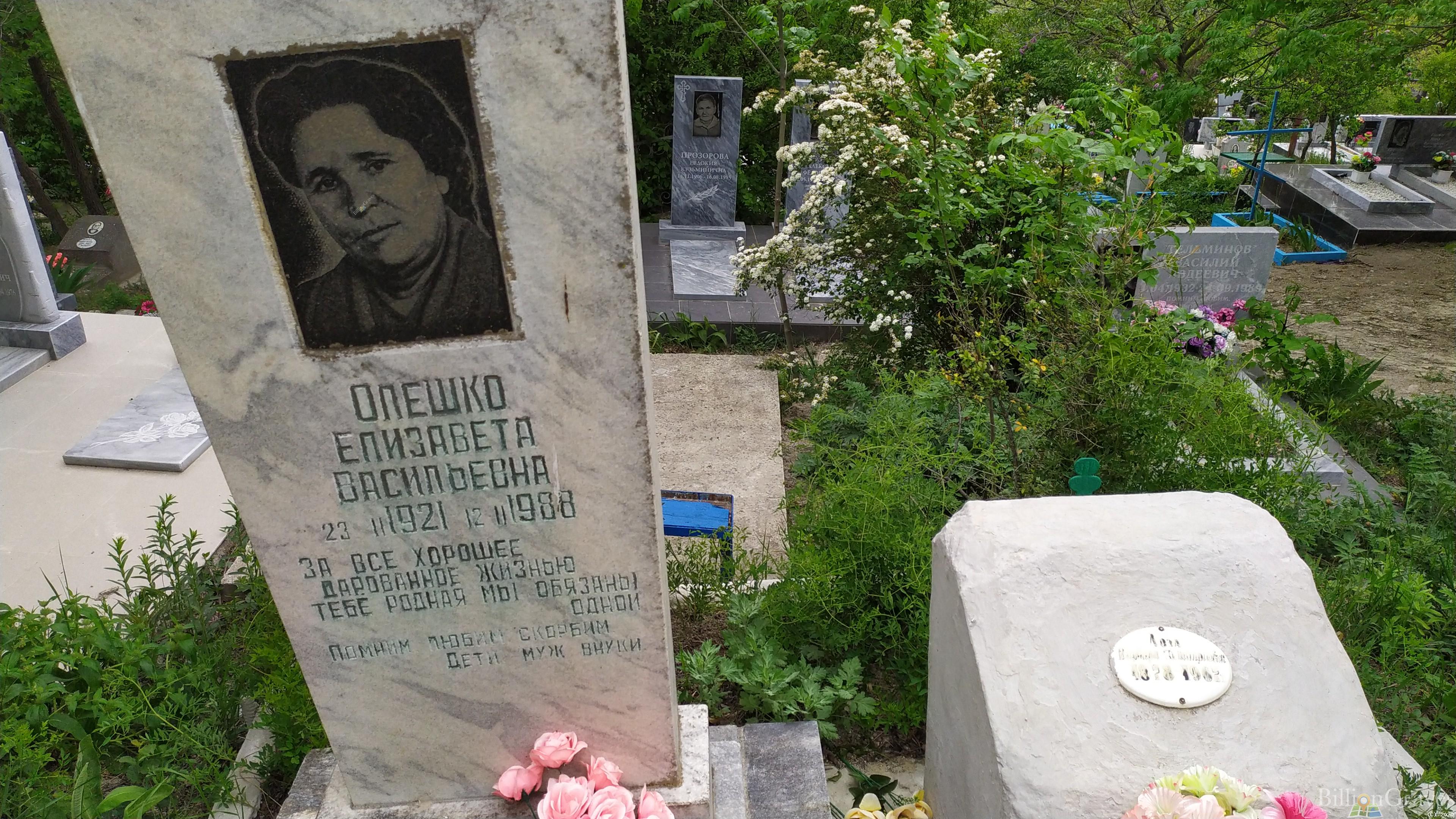 Олешко Елизавета Васильевна