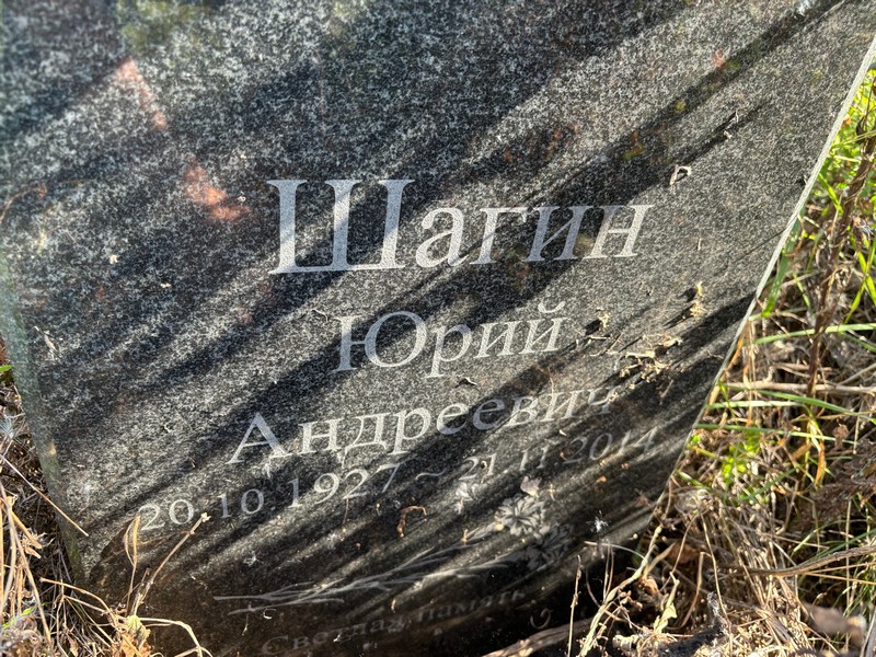 Шагин