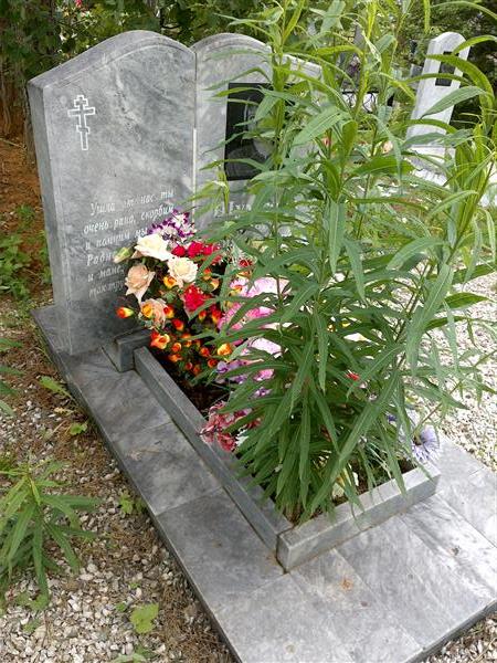 Шумкова Ольга Анатольевна