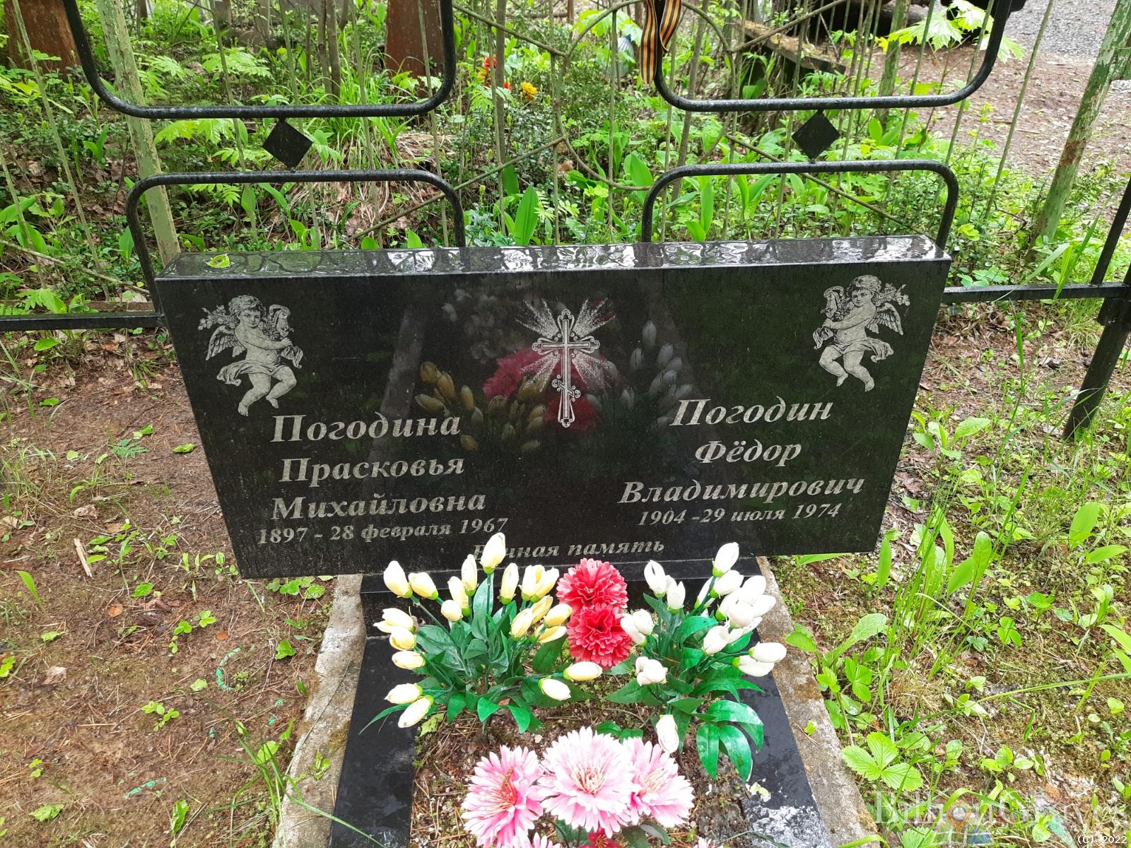 Погодин Фёдор Владимирович