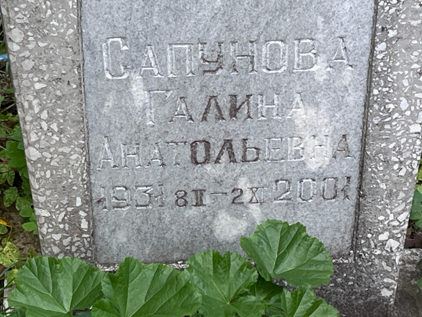 Сапунова