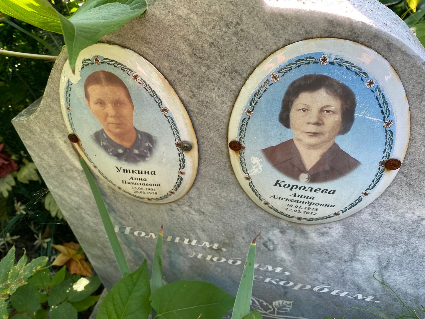 Королева