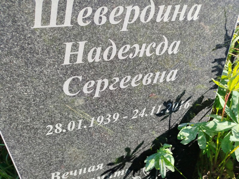 Шевердина