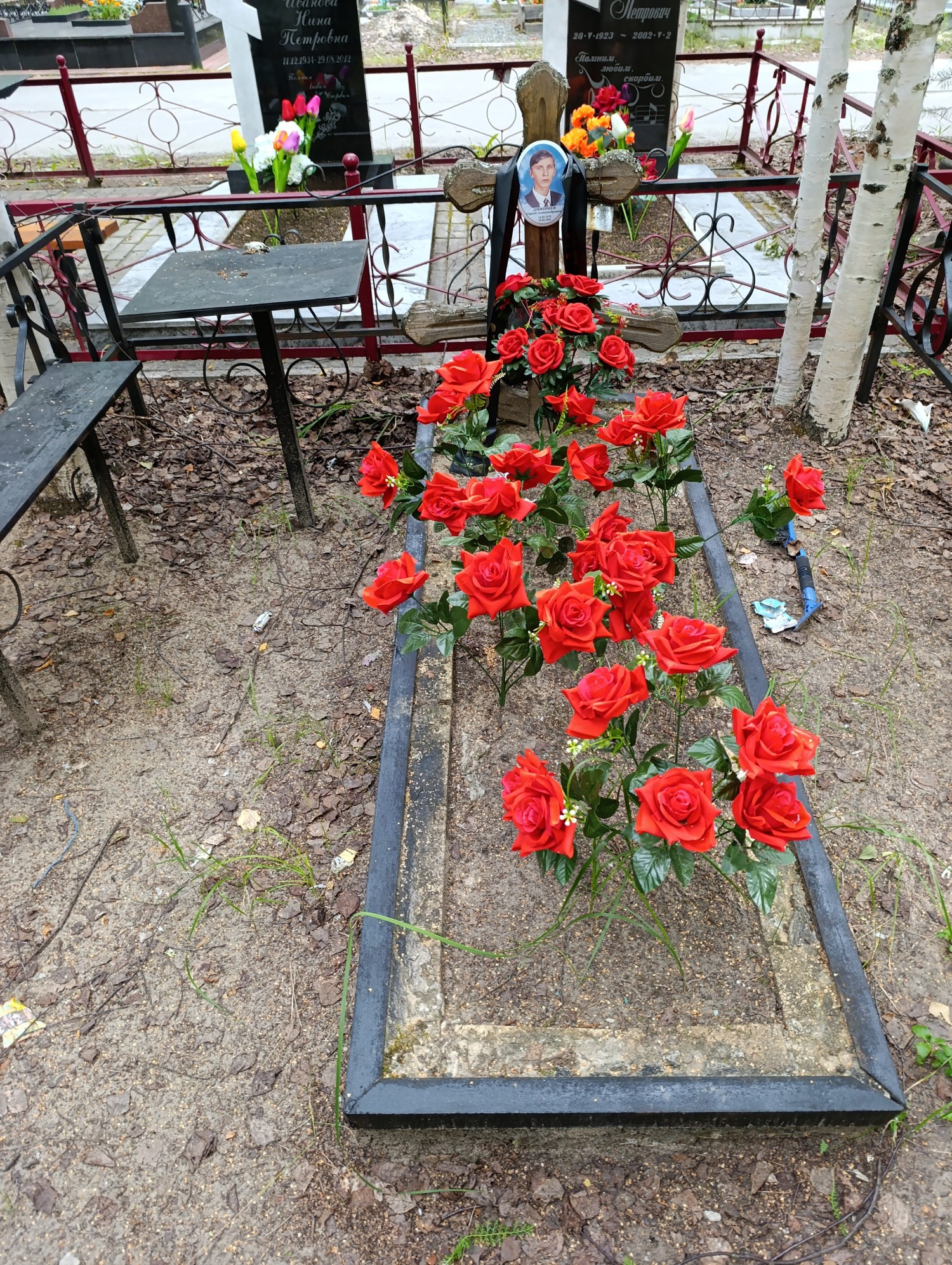 Дмитриев Сергей Александрович