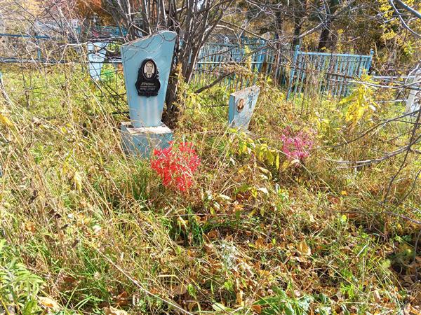Ивченко Дмитрий Николаевич