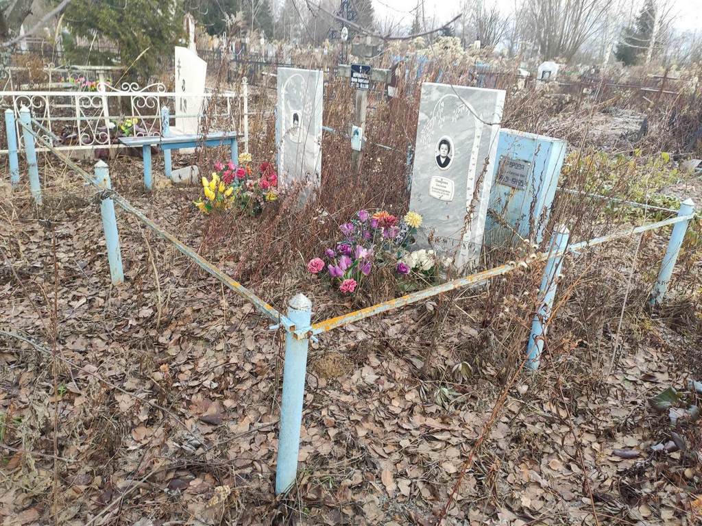 Шереметьева Ирина Борисовна