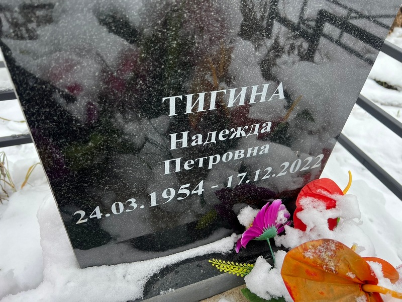 Тигина