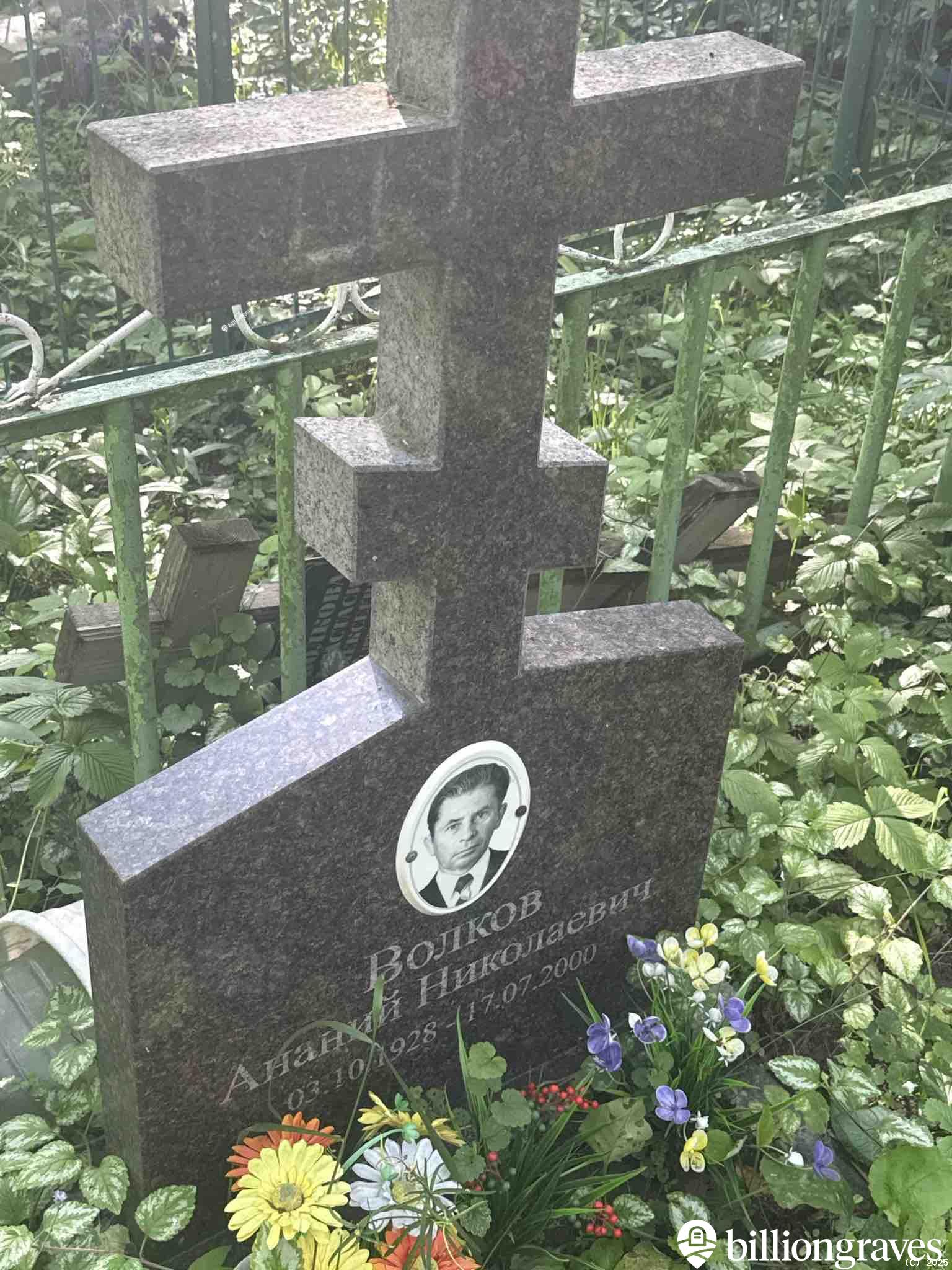 Волков Ананий Николаевич