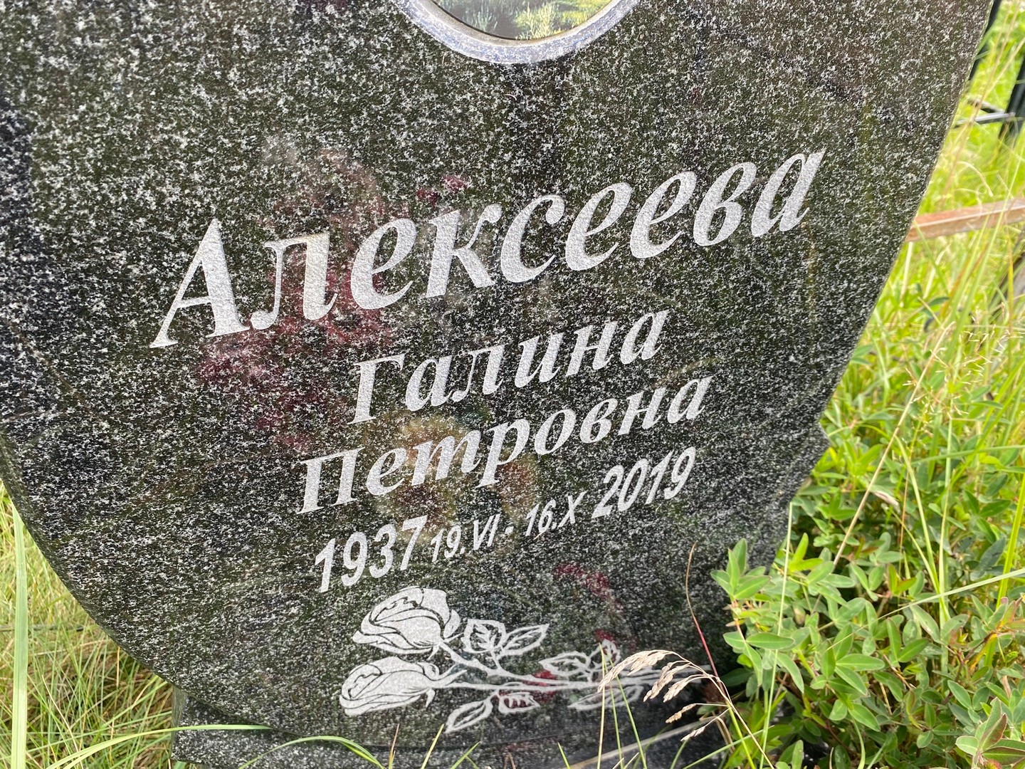Алексеева