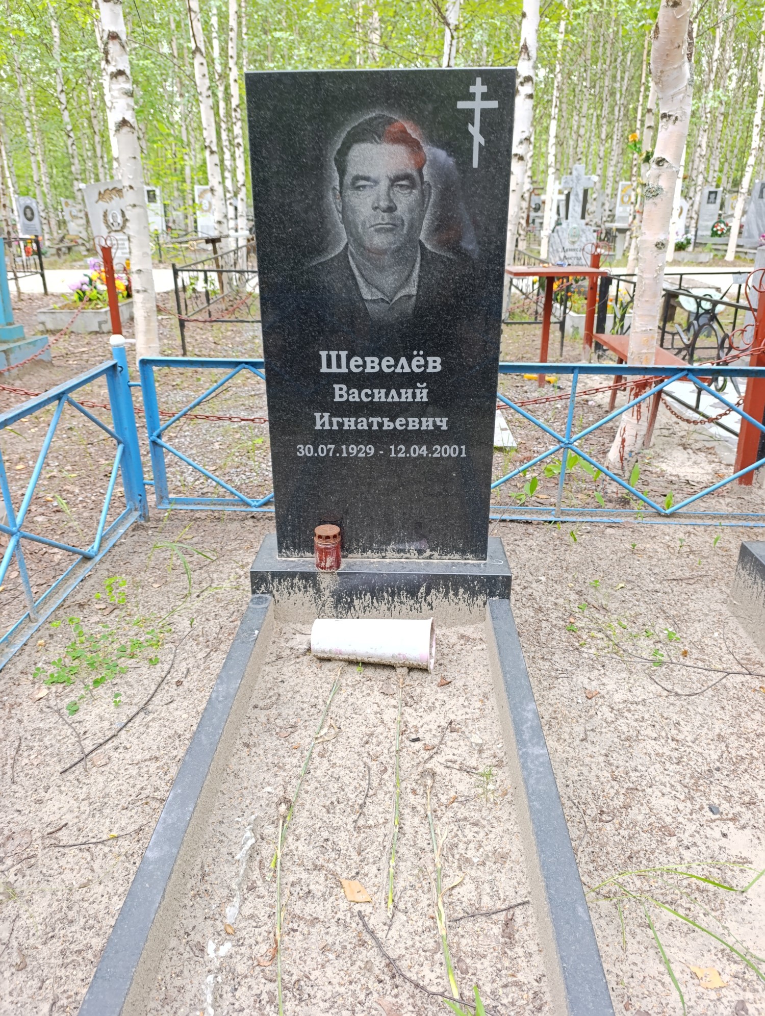 Шевелев Василий Игенатьевич