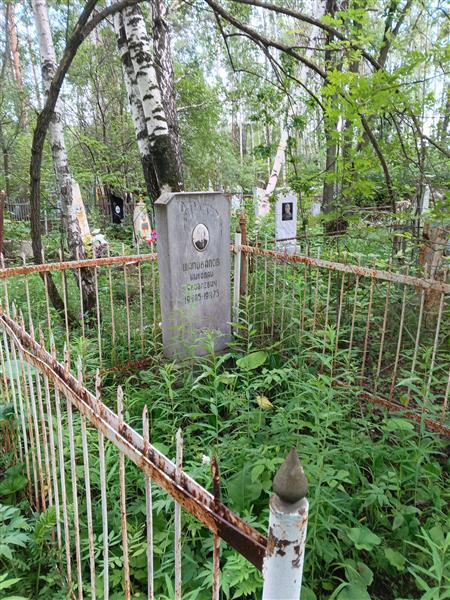 Шаповалов Николай Яковлевич