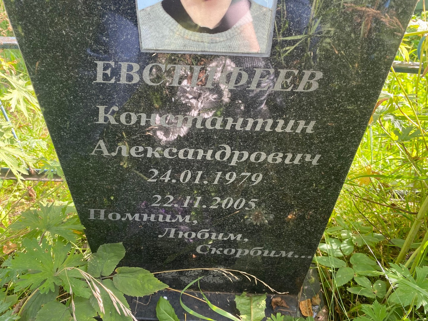 Евстифеев