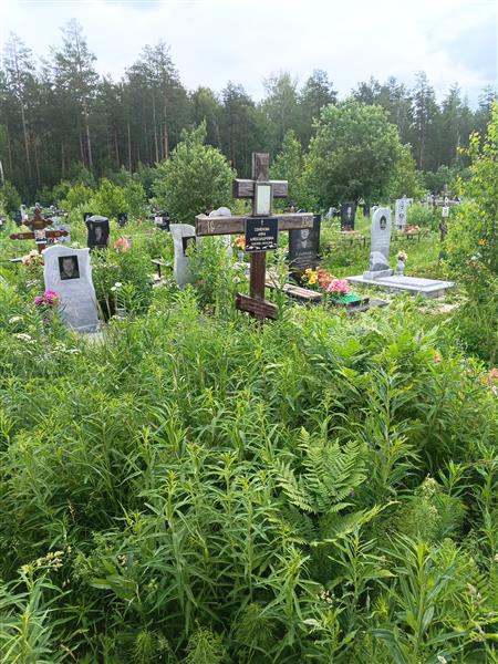 Семёнова Анна Александровна