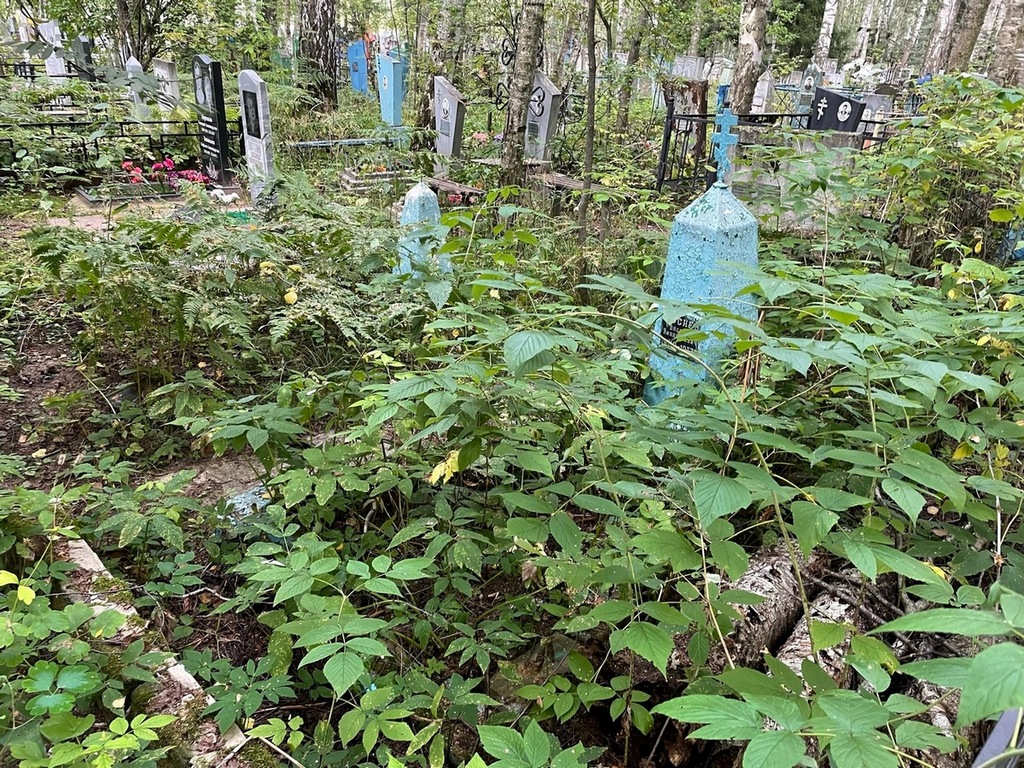 Досаев Василий Афанасьевич
