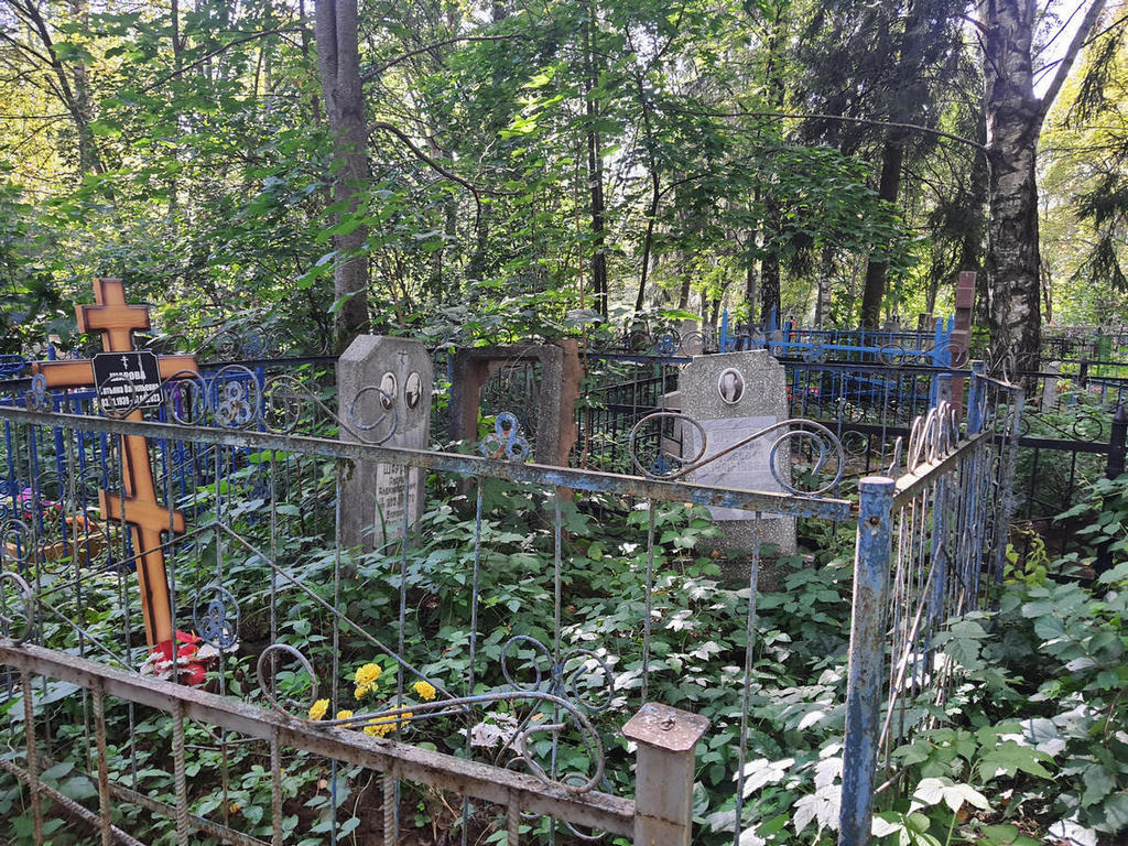 Шарова Татьяна Васильевна