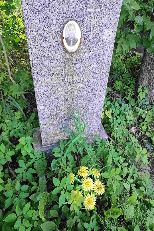 Бабуров Николай Владимирович