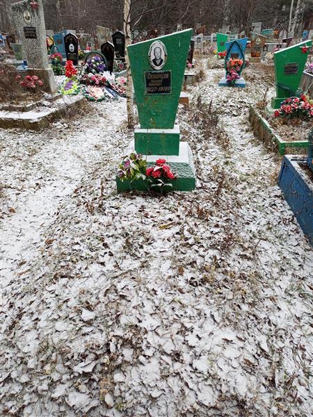 Скворцов Николай Иванович