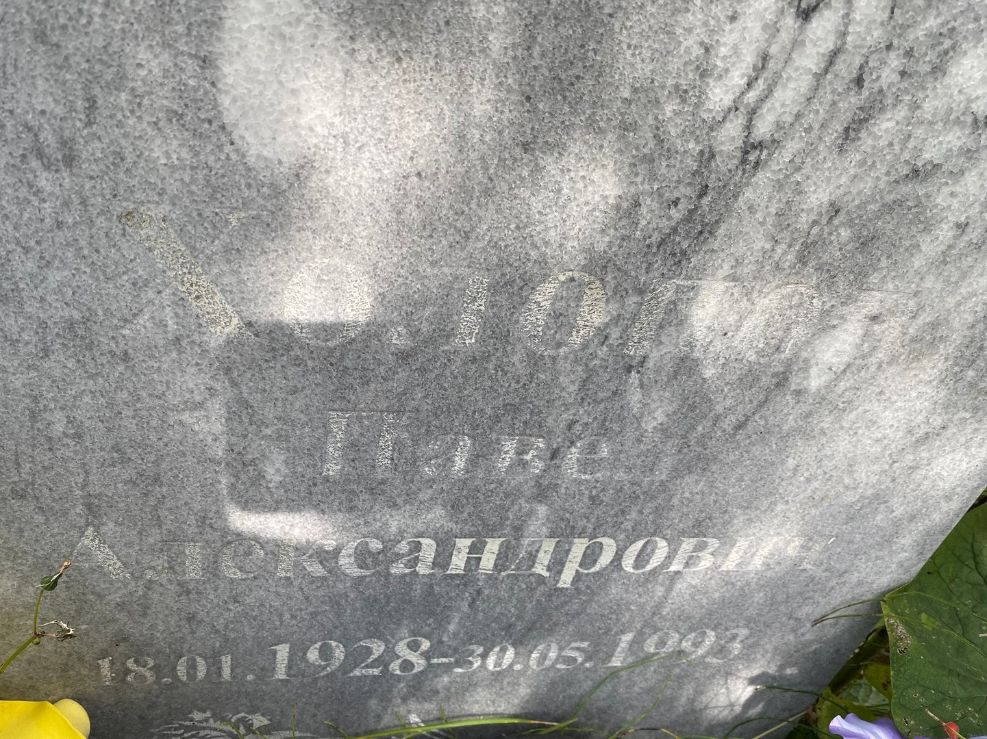 Холодов