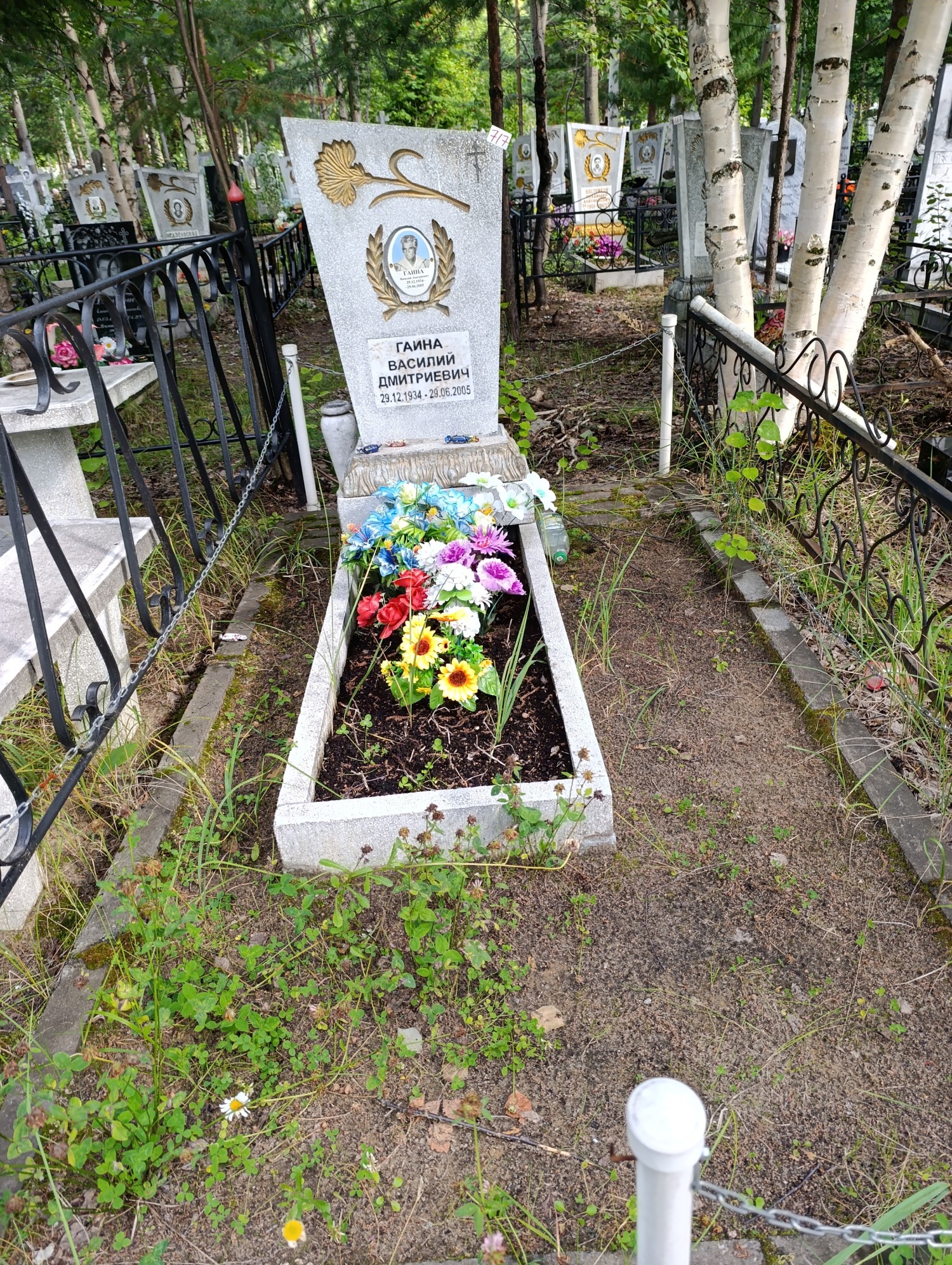 Гаина Василий Дмитриевич