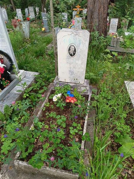 Чашина Анастасия Никитична