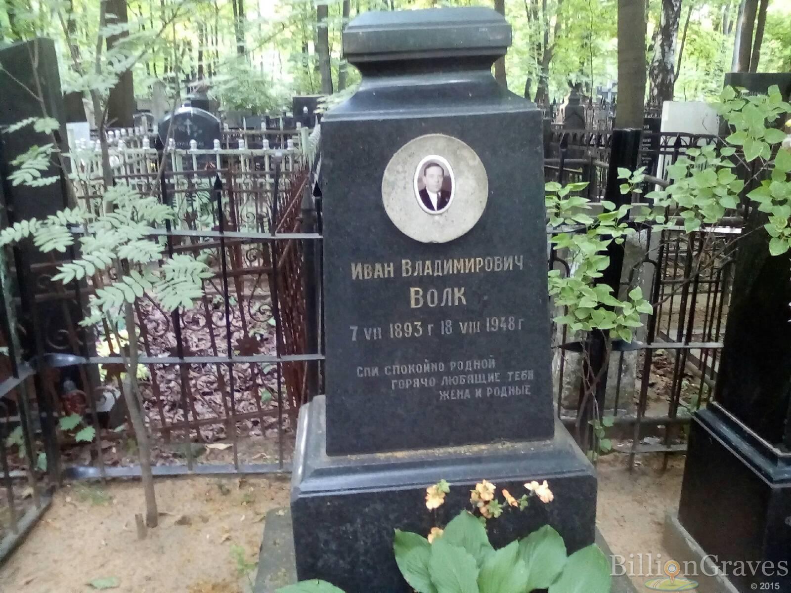 волк алексей владимирович