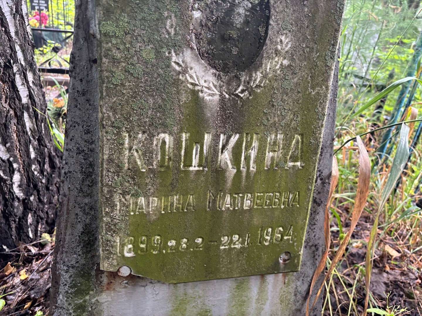Кошкина